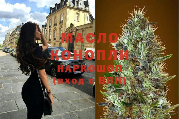 дмт Алексин