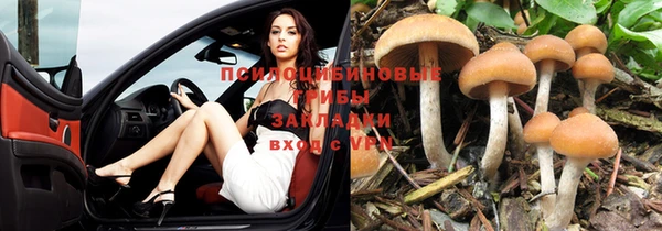 мдпв Алзамай