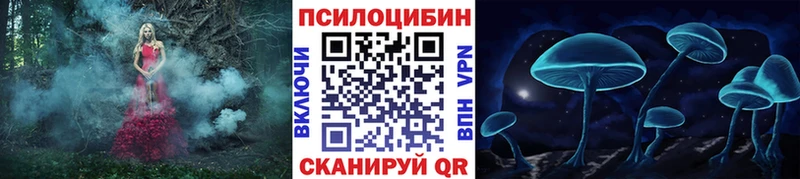 дарнет шоп  Чишмы  Псилоцибиновые грибы Psilocybe 